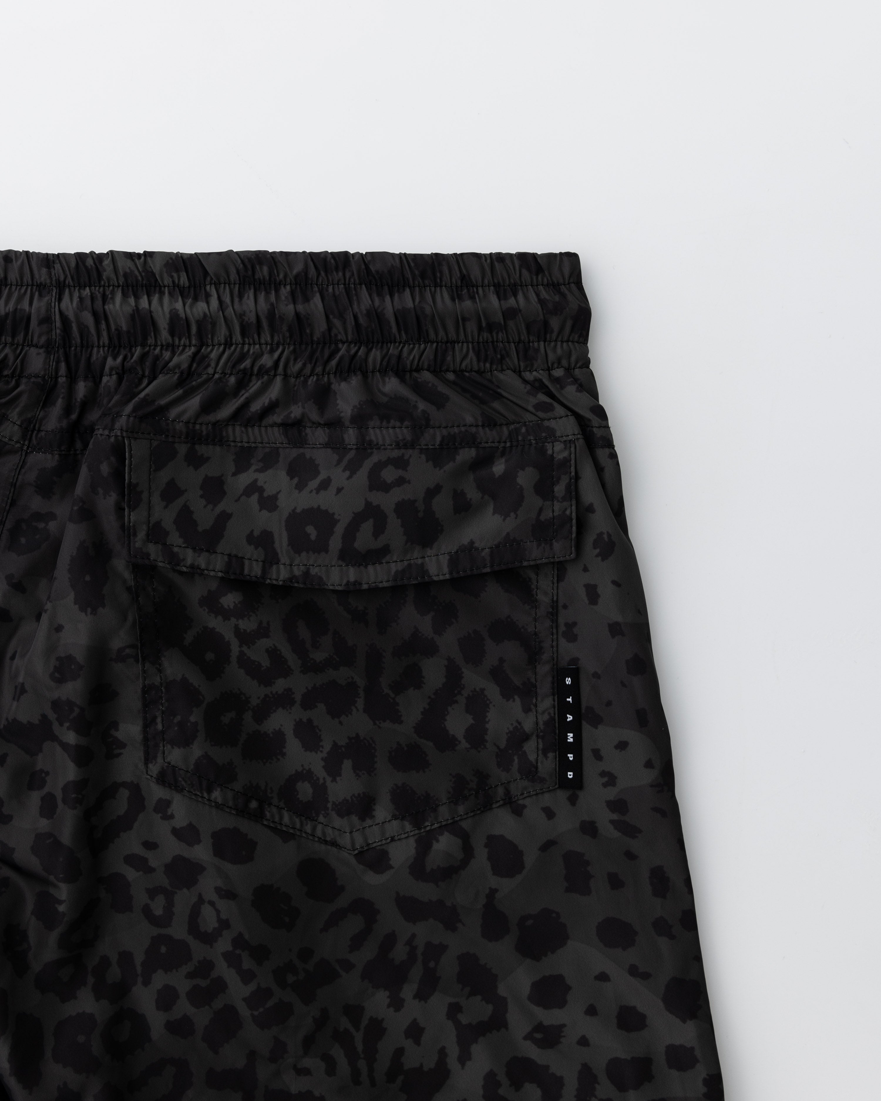 Leopard Trunk