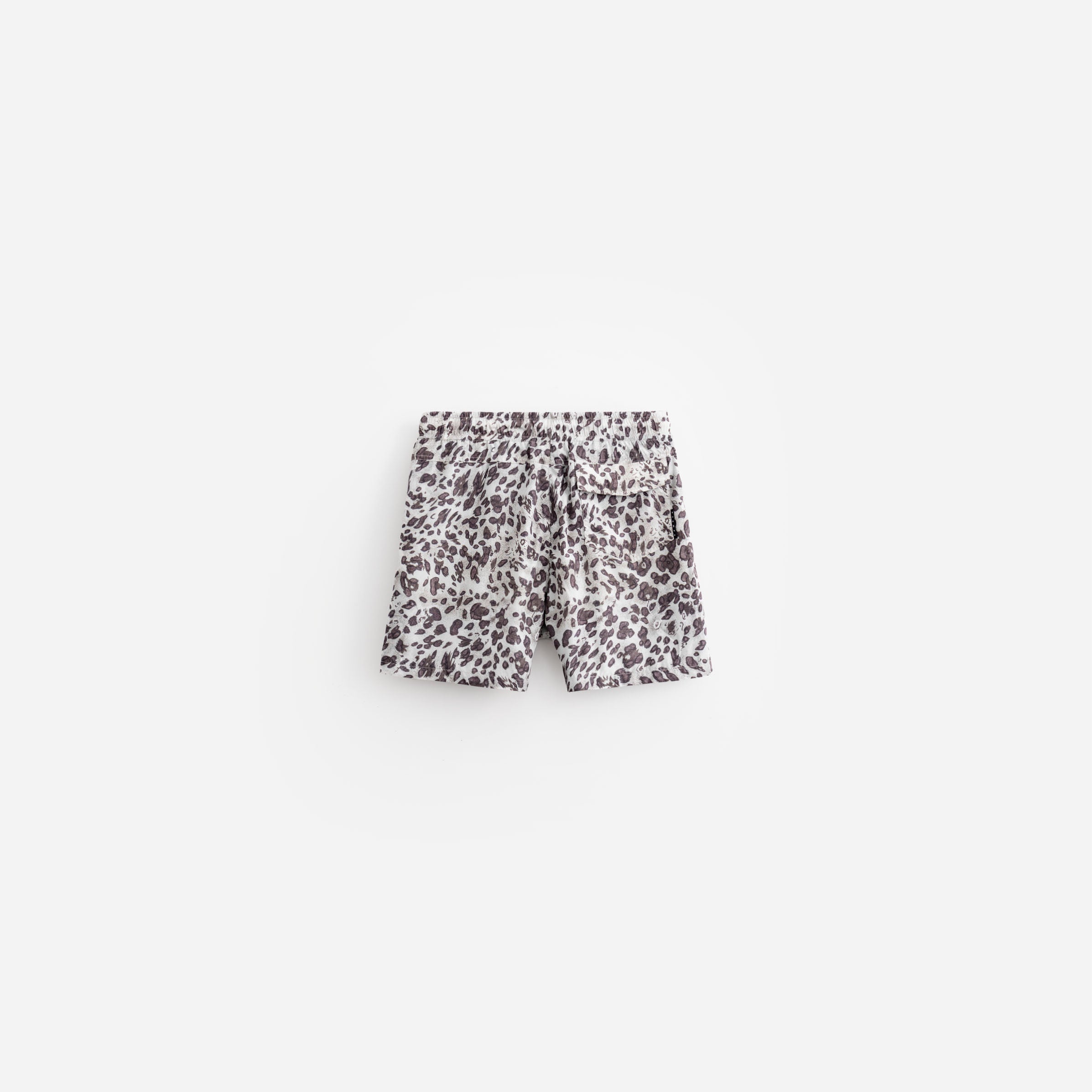 Leopard Trunk