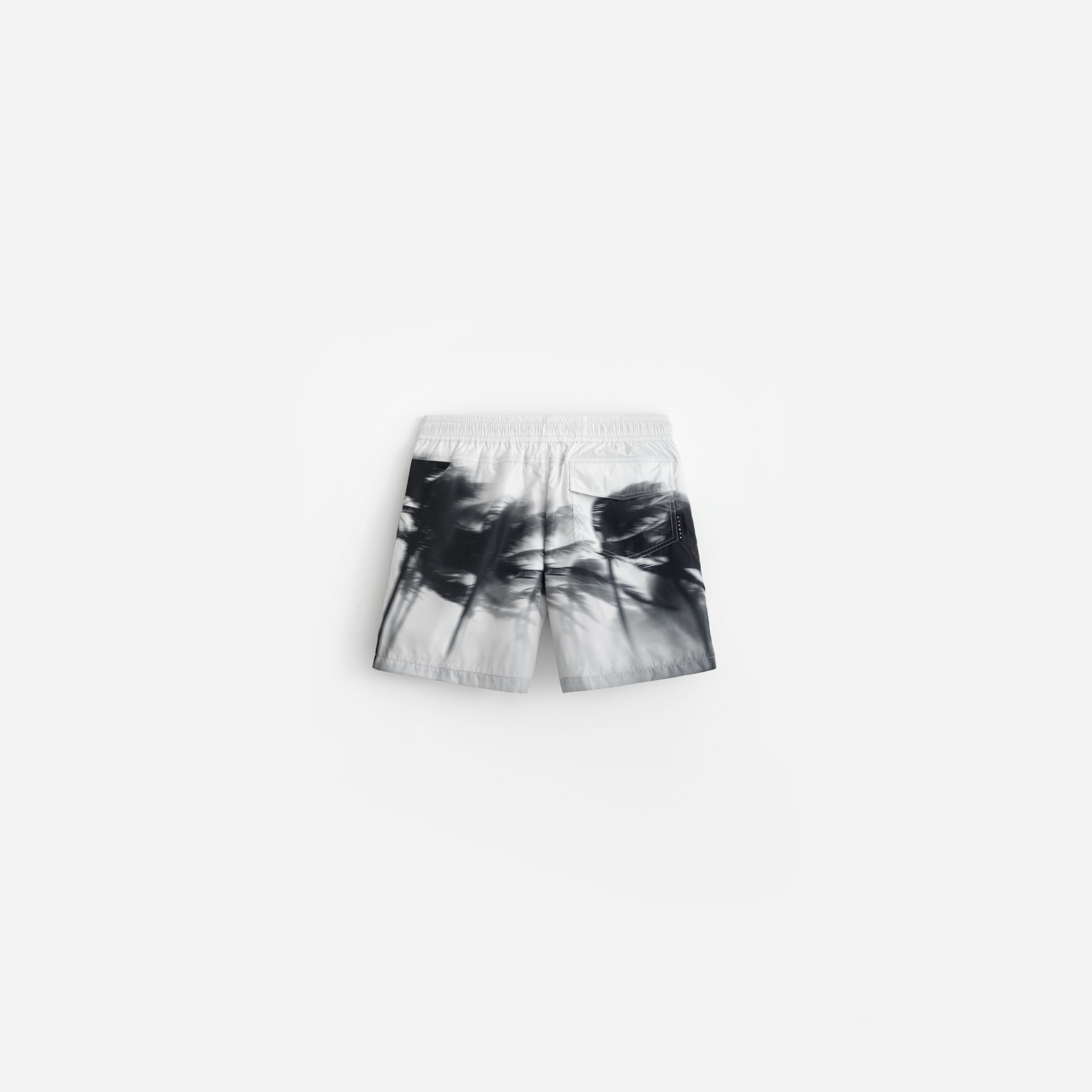 Palms in Motion Trunk